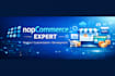 develop customize nopcommerce plugins bug fixes themes ui and ecommerce stores