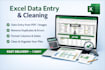 do accurate data entry and excel data cleaning in 1 day