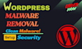remove malware and secure your wordpress website