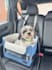 create engaging pet ugc videos for dog products and brands