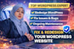 redesign and fix your wordpress blog with maintenance support