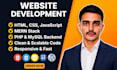 do custom website development as a full stack frontend and backend developer