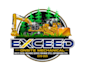 design a professional excavating  logo