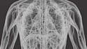 create a medical and surgical animation
