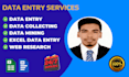 excel data entry,data collecting, data maining ,web research