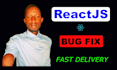 fix reactjs bugs, hooks, routing, and frontend issues fast