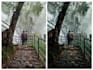 professionally edit and enhance photos using adobe lightroom