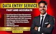 do data entry, web research, data mining and excel data entry