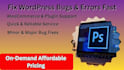 wordpress development customization and bug fixes