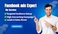 setup and manage facebook ads campaign,fb ads ,meta ads