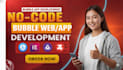develop bubble io website, bubble web and app as a professional bubble developer
