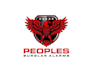 create professional and specially eagle logo design