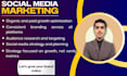 manage meta ads and social strategy