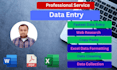 do excel data formatting, cleaning and data entry expert