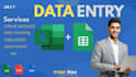do professional excel or sheet data entry