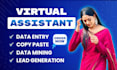 do data entry, web research, scraping, admin work as a virtual assistant