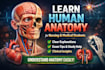 simplify human anatomy to understand it easily for your exam