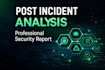 perform a professional pentest and deep security audit