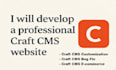 customize and develop craft cms professional website