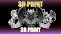 3d print character models, figurines, and collectables