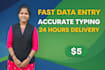 provide accurate and fast typing and data entry services