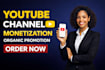 do complete youtube channel monetization promotion