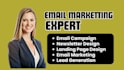 design professional email templates and newsletters for mailchimp