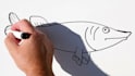 create engaging 2d animated explainer video