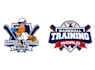 design wonderful baseball logo