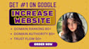 get high quality backlinks that improve your da DR  trust flow