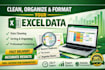 clean, organize and format excel data