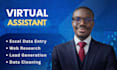 do accurate excel data entry, lead generation, and VA task