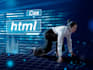 professional php mysql website development
