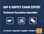 provide sap consulting and technical translation