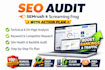 do a complete SEO audit and website analysis