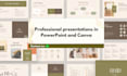 professional powerpoint and canva presentations