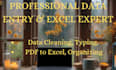 professional virtual assistant for data entry and mis tasks