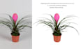 commercial photo editing, clipping path and retouching