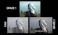 do professional video color grading and color correction