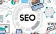 be a wordpress SEO expert USA for higher google rankings