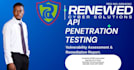 perform manual API penetration testing and owasp API top 10 security audit