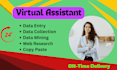 be your professional data entry, copy past, typing operator