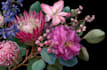 create professional flower or plant digital art or line art