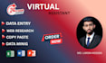 do data mining,  web scraping and excel data entry professionally