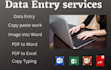 do data entry digital marketing and ms office work