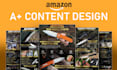 design premium amazon a plus content to increase conversions