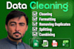 do data cleaning, formatting, splitting, merging and combining