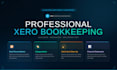 xero bookkeeping, bank reconciliation, categorization, catch up, and clean up