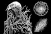 draw a metal, horror, dark art