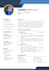 design a professional resume CV using canva